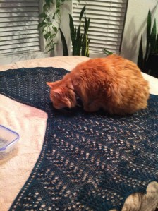 Inspecting my Belle Nuit Shawl…...